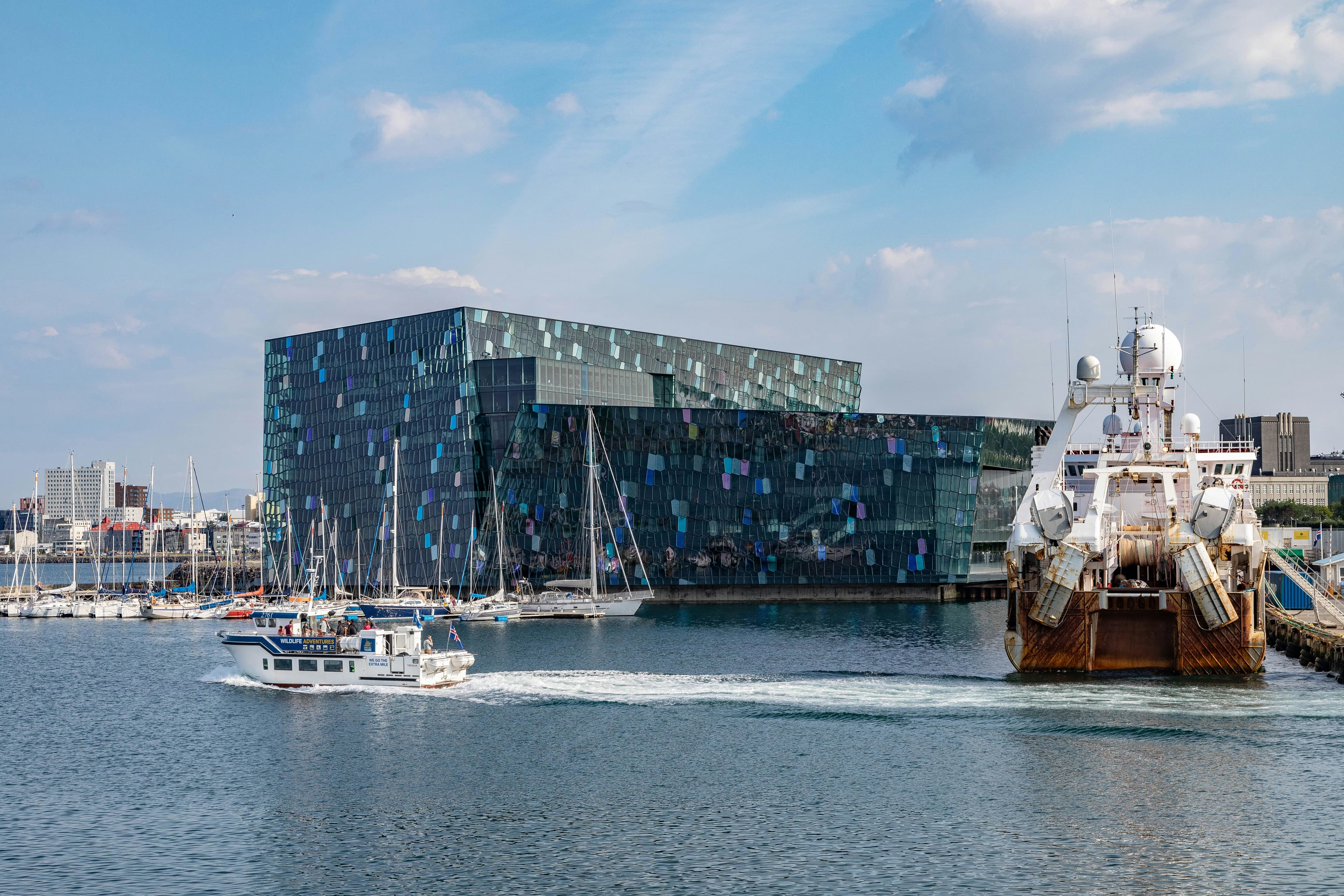 Harpan reykjavik